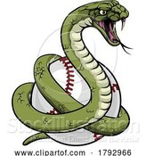 Vector Illustration of Cartoon Snake Baseball Ball Animal Sports Team Mascot by AtStockIllustration