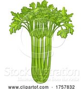 Vector Illustration of Celery Vegetable Illustration by AtStockIllustration