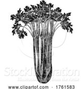 Vector Illustration of Celery Vegetable Vintage Woodcut Illustration by AtStockIllustration