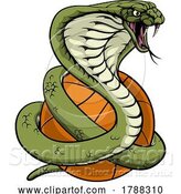 Vector Illustration of Cobra Snake Basketball Animal Sports Team Mascot by AtStockIllustration