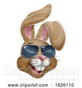 Vector Illustration of Cool Easter Bunny Rabbit in Shades by AtStockIllustration