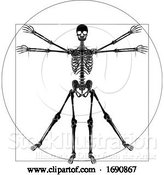 Vector Illustration of Da Vinci Vitruvian Guy Skeleton by AtStockIllustration