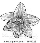 Vector Illustration of Daffodil Flower in Woodcut Etching Style by AtStockIllustration