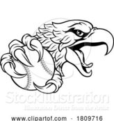 Vector Illustration of Eagle Hawk Baseball Ball Sport Team Mascot by AtStockIllustration