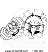 Vector Illustration of Eagle Hawk Bird Weight Lifting Dumbbell Gym Mascot by AtStockIllustration