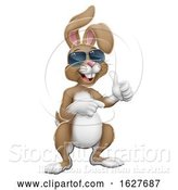 Vector Illustration of Easter Bunny Cool Rabbit Thumbs up and Pointing by AtStockIllustration