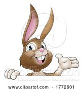 Vector Illustration of Easter Bunny Rabbit by AtStockIllustration