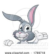 Vector Illustration of Easter Bunny Rabbit Character Peeking Sign by AtStockIllustration