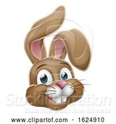 Vector Illustration of Easter Bunny Rabbit Face by AtStockIllustration