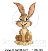 Vector Illustration of Easter Bunny Rabbit Fun Animal Character by AtStockIllustration