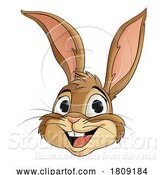 Vector Illustration of Easter Bunny Rabbit Fun Animal Character by AtStockIllustration