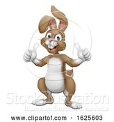 Vector Illustration of Easter Bunny Rabbit Giving Thumbs up by AtStockIllustration