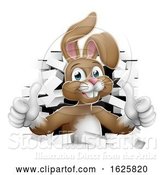 Vector Illustration of Easter Bunny Thumbs up Coming out of Background by AtStockIllustration