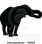 Vector Illustration of Elephant Silhouette by AtStockIllustration