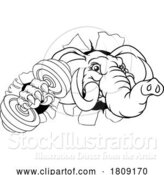 Vector Illustration of Elephant Weight Lifting Dumbbell Gym Mascot by AtStockIllustration