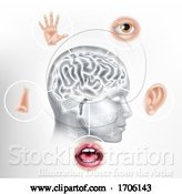 Vector Illustration of Five Senses Human Brain Head Face AI Concept by AtStockIllustration