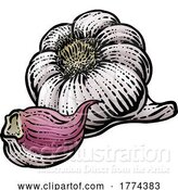 Vector Illustration of Garlic by AtStockIllustration