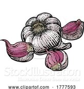 Vector Illustration of Garlic by AtStockIllustration