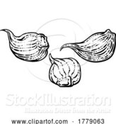 Vector Illustration of Garlic by AtStockIllustration