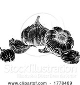 Vector Illustration of Garlic by AtStockIllustration