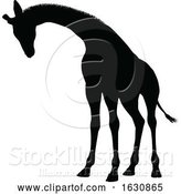 Vector Illustration of Giraffe Animal Silhouette by AtStockIllustration