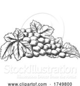 Vector Illustration of Grapes Bunch Vine and Leaves Woodcut Etching Style by AtStockIllustration