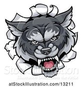 Vector Illustration of Gray Wolf Mascot Breaking Through a Wall by AtStockIllustration