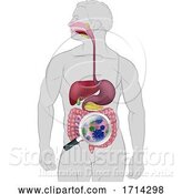 Vector Illustration of Gut Bacteria Digestive System Probiotic Flora by AtStockIllustration