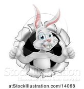Vector Illustration of Happy White Easter Bunny Rabbit Breaking Through a Hole in a Wall and Holding up Two Thumbs by AtStockIllustration