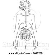 Vector Illustration of Human Digestive System Lady Anatomy Diagram by AtStockIllustration