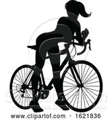 Vector Illustration of Lady Bike Cyclist Riding Bicycle Silhouette by AtStockIllustration