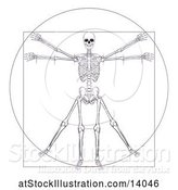 Vector Illustration of Leonard Da Vincis Skeleton Vitruvian Guy by AtStockIllustration