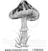 Vector Illustration of Mushroom Toadstool Fungus Vintage Engraved Woodcut by AtStockIllustration