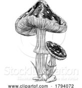 Vector Illustration of Mushrooms Toadstools Vintage Engraved Woodcut by AtStockIllustration