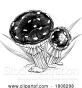 Vector Illustration of Mushrooms Toadstools Vintage Engraved Woodcut by AtStockIllustration