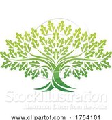 Vector Illustration of Oak Tree Icon Concept by AtStockIllustration