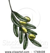 Vector Illustration of Olives Branch Illustration Vintage Woodcut by AtStockIllustration