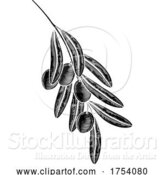 Vector Illustration of Olives Branch Illustration Woodcut Drawing by AtStockIllustration