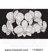 Vector Illustration of Orchid Flower Woodcut Etching by AtStockIllustration