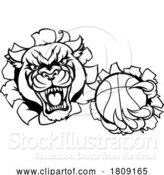 Vector Illustration of Panther Cougar Jaguar Cat Basketball Ball Mascot by AtStockIllustration