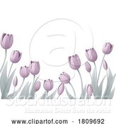 Vector Illustration of Paper Craft Cut Origami Floral Tulip Flowers by AtStockIllustration