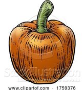 Vector Illustration of Pepper Vegetable Vintage Woodcut Illustration by AtStockIllustration
