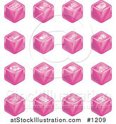 Vector Illustration of Pink Cube Icons: Charts, Connections, Computers, Wireless, Cables, and Communications by AtStockIllustration