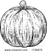 Vector Illustration of Pumpkin Vegetable Vintage Woodcut Illustration by AtStockIllustration