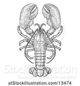 Vector Illustration of Retro Black and White Engraved Lobster by AtStockIllustration