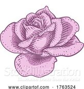 Vector Illustration of Rose Flower Design Woodcut Vintage Style by AtStockIllustration