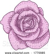 Vector Illustration of Rose Flower Design Woodcut Vintage Style by AtStockIllustration