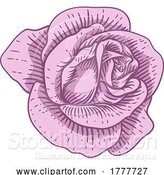 Vector Illustration of Rose Flower Design Woodcut Vintage Style by AtStockIllustration