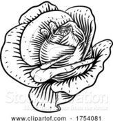 Vector Illustration of Rose Flower Vintage Woodcut Drawing by AtStockIllustration