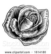 Vector Illustration of Rose Flower Woodcut Etching Style by AtStockIllustration